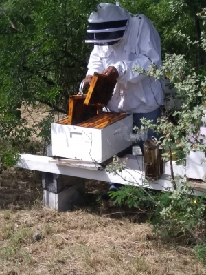 Food Hero Agnan “Busy” St Louis Beekeeper in Dominica
