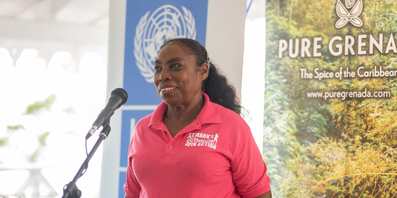 Women in Action: UNDP Partners with Government of Grenada to promote female entrepreneurship
