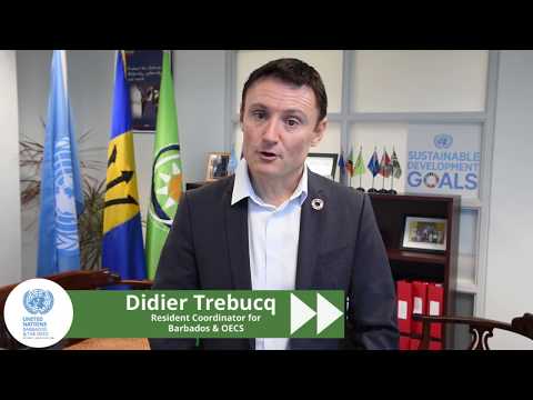 Climate change call to action - Didier Trebucq