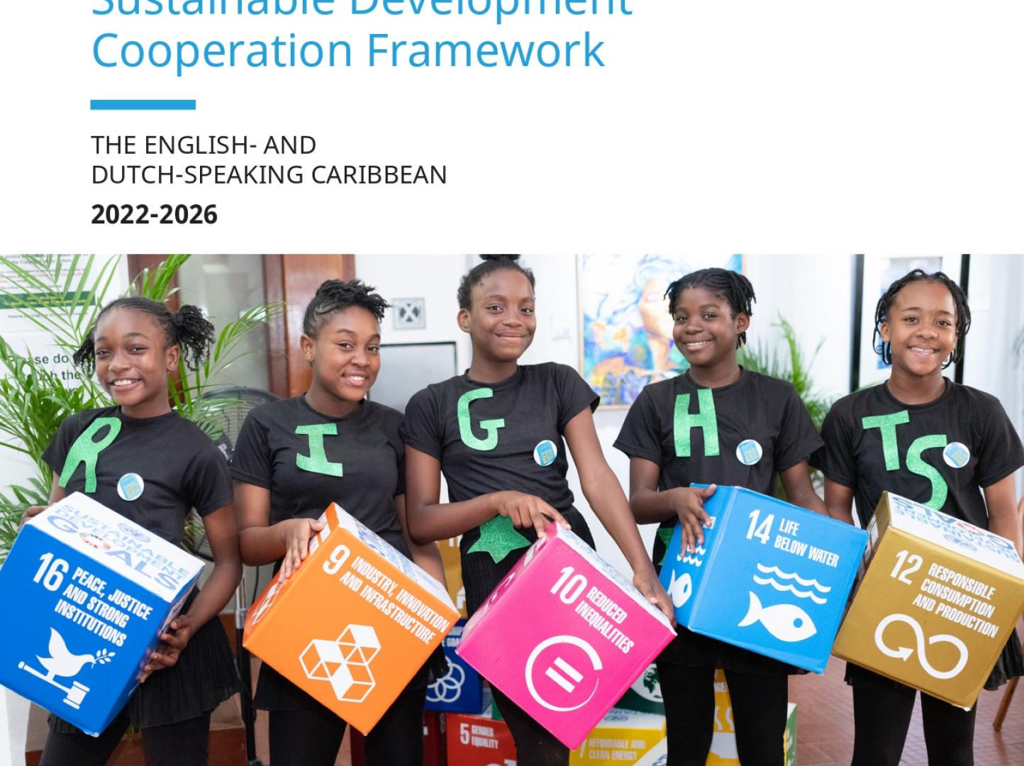 MSDCF Report cover featuring the MSDCF title, and a photo of 5 young girls in black shirts in a row holding various SDG blocks.