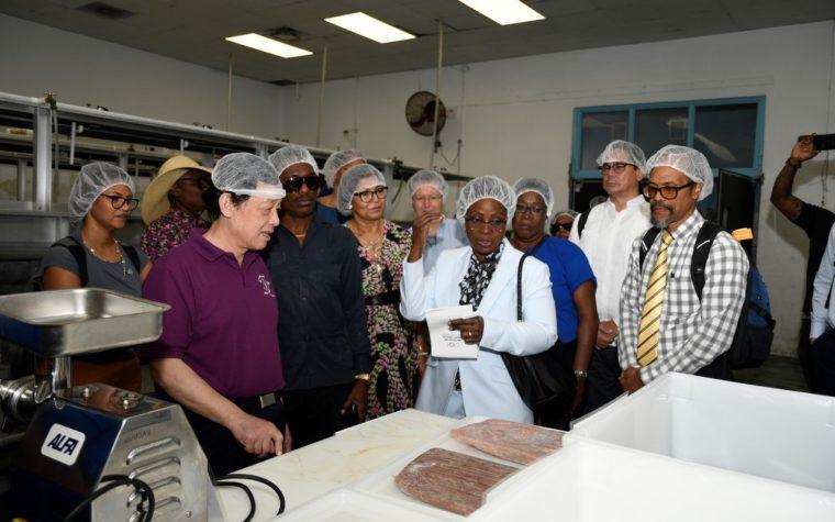 FAO DG Fish Silage Project in Barbados, February 2023
