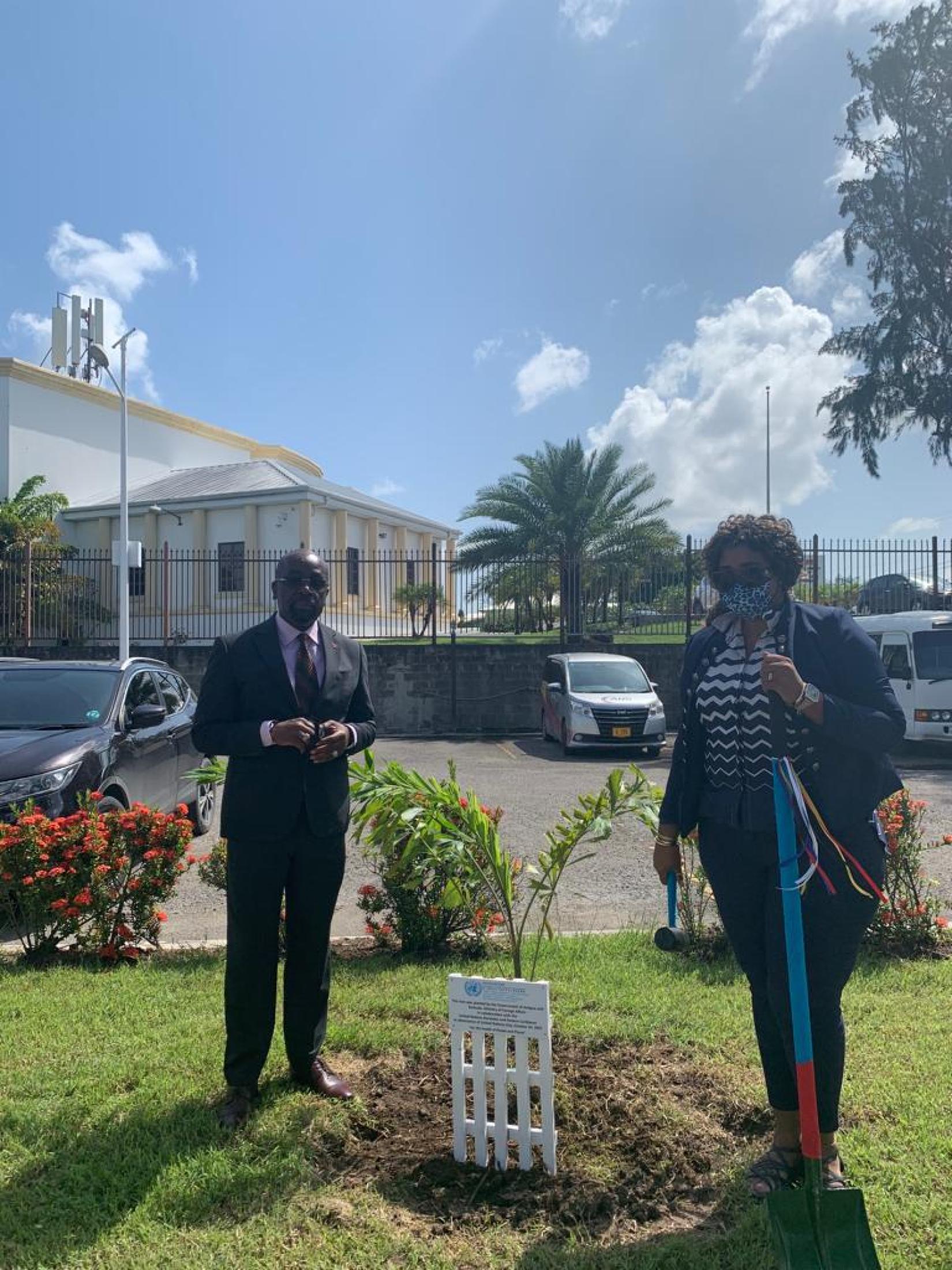 UN Day Tree Planting Ceremony Antigua and Barbuda