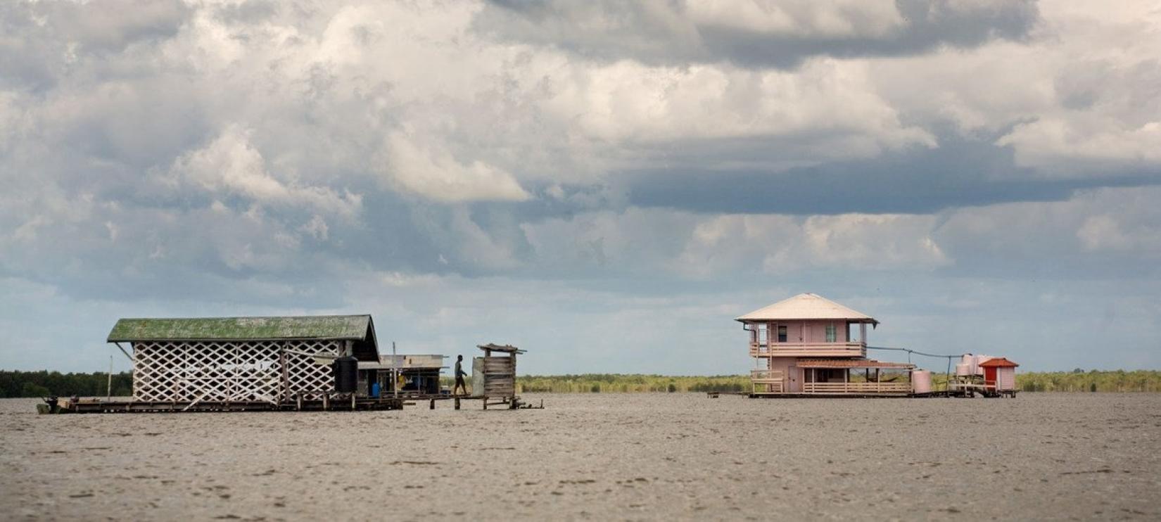Suriname's low-lying coastal areas