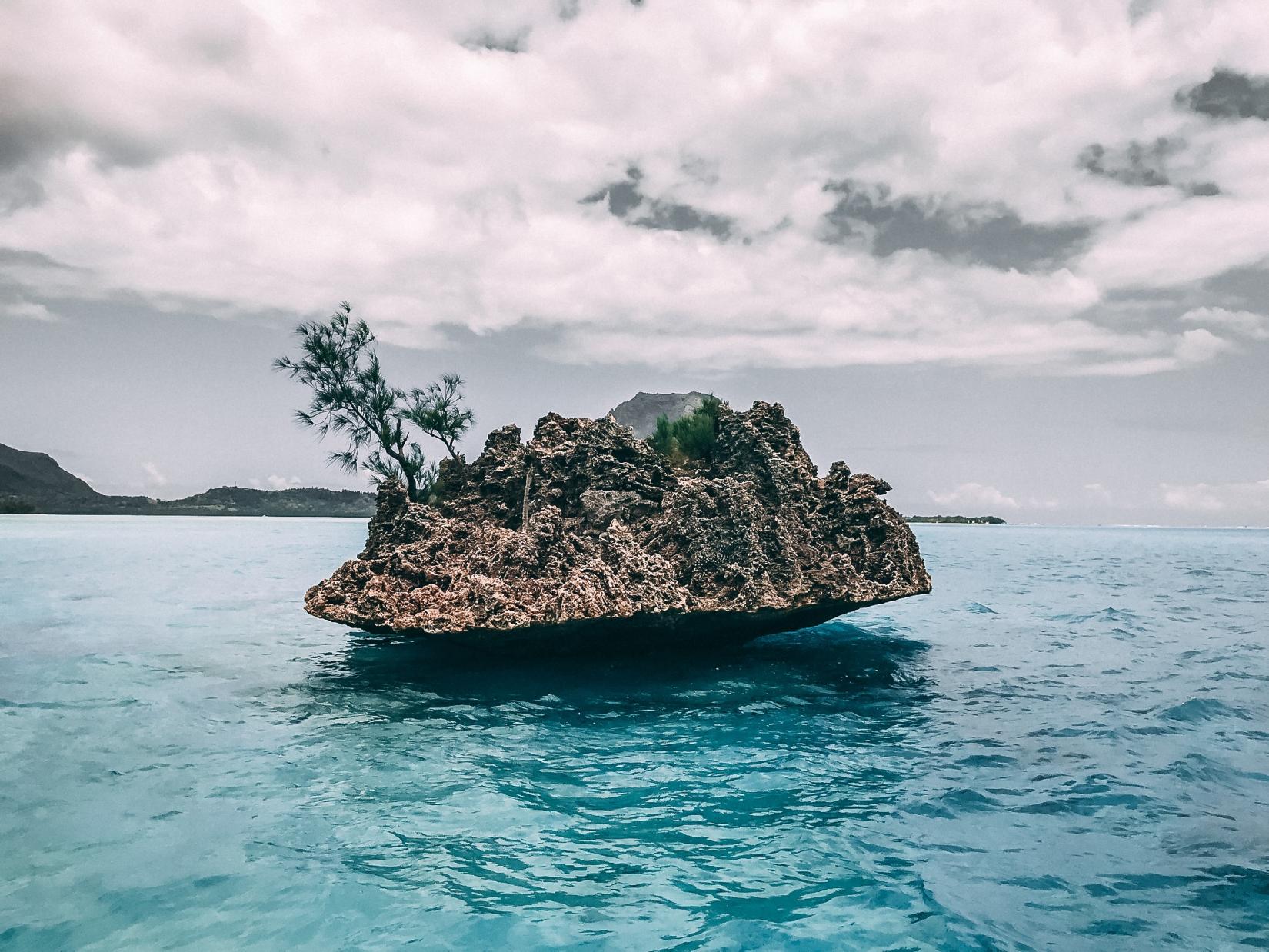 Photo of a large rock with a small tree in the middle of the water