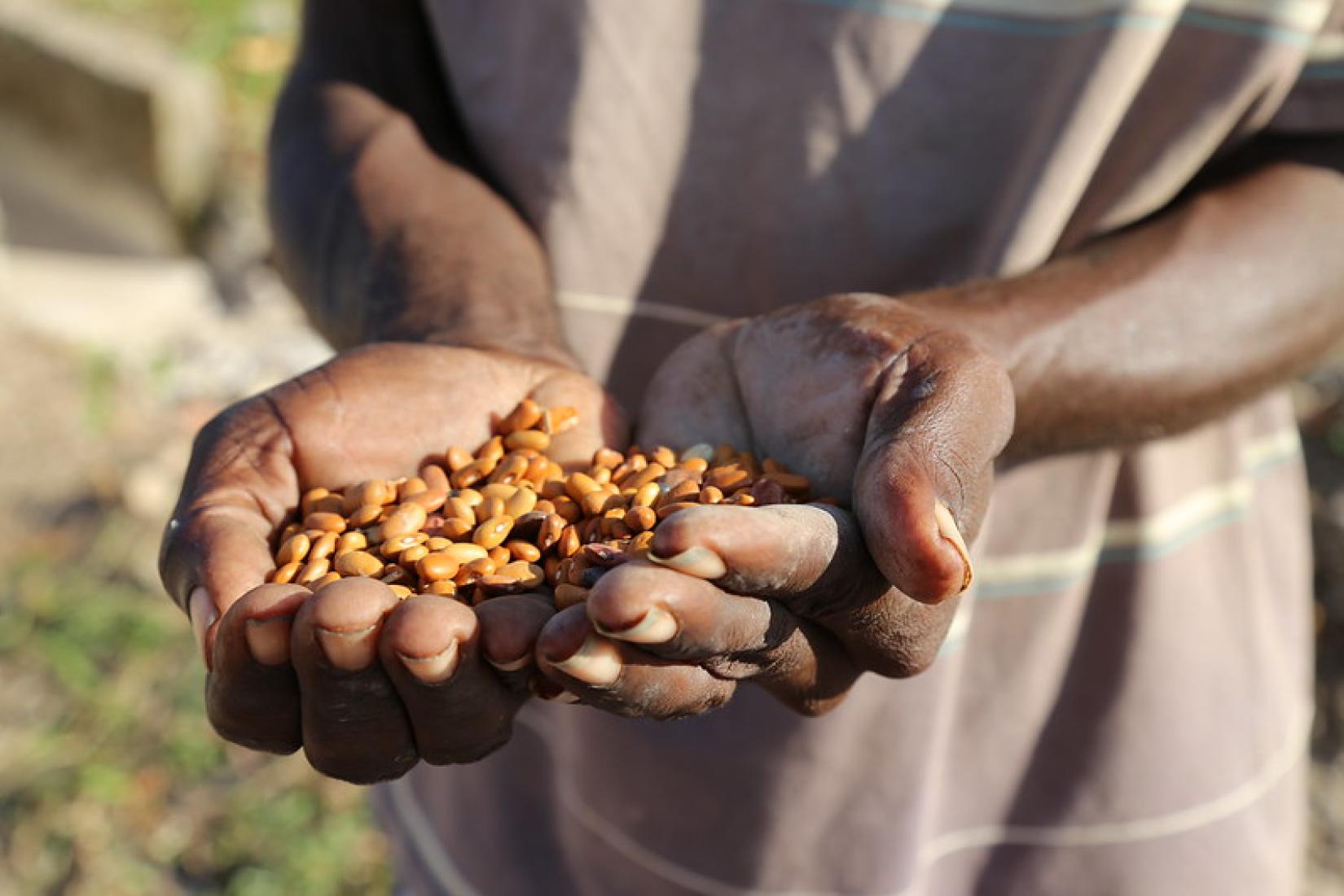 Man holds peas in his hands