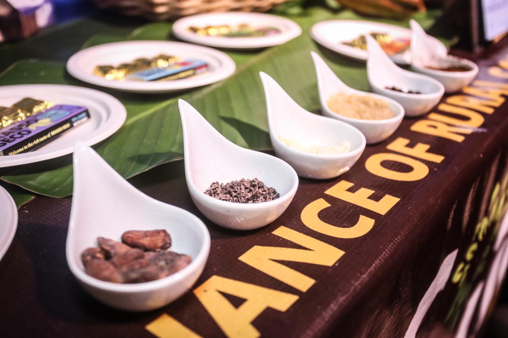 cocoa pods in white bowls in a row along a table