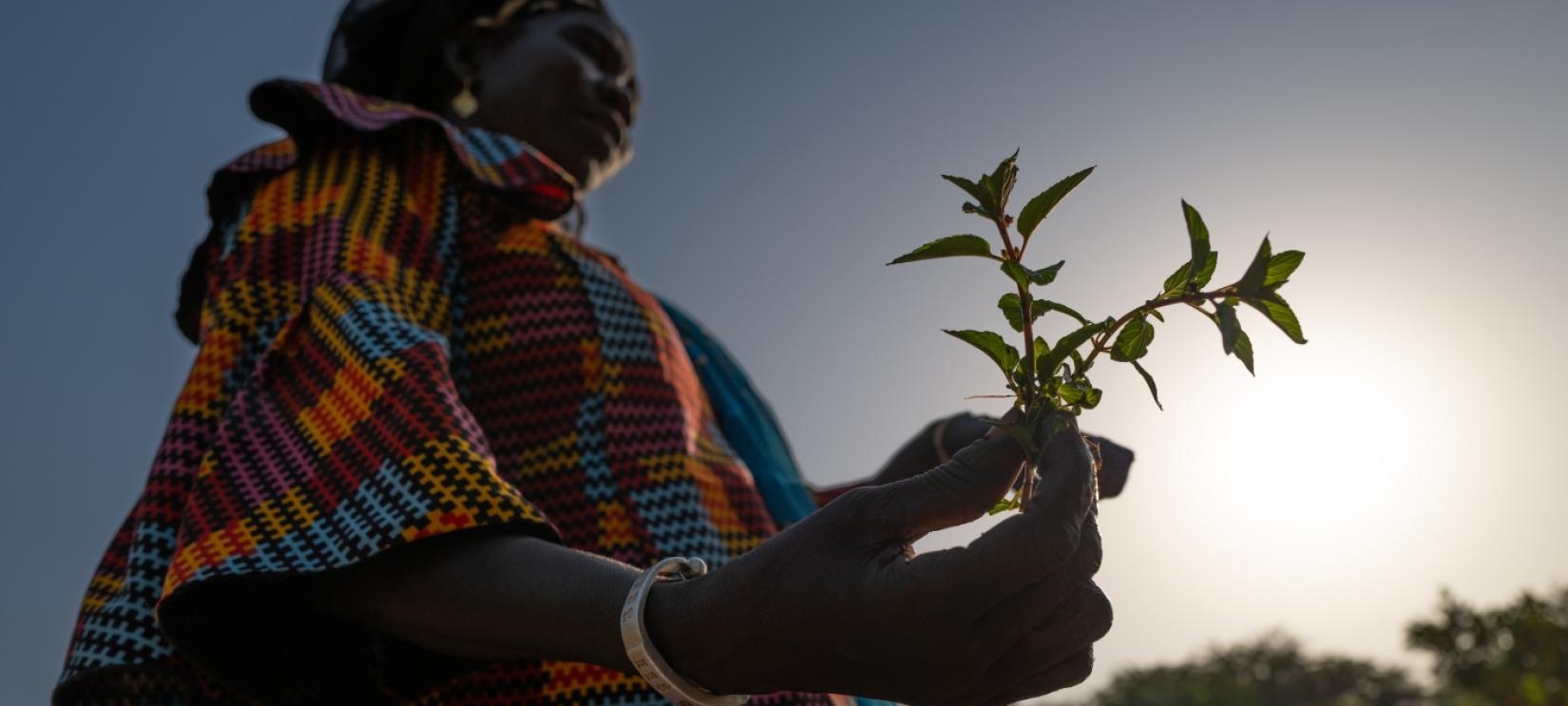 woman in african garb holding a plant with the sun shining in the background