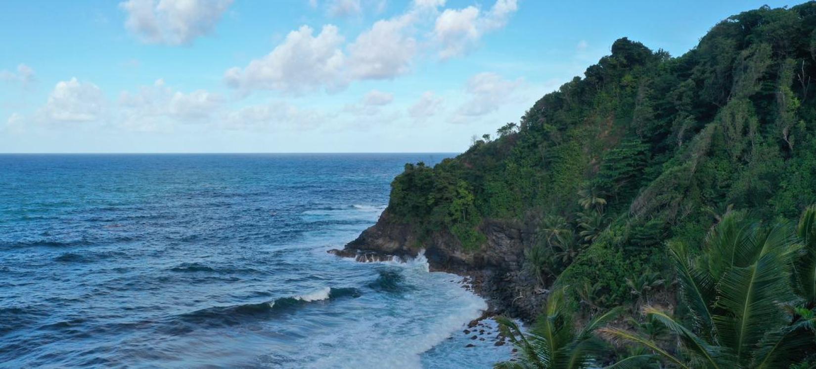 A cliff with trees and water