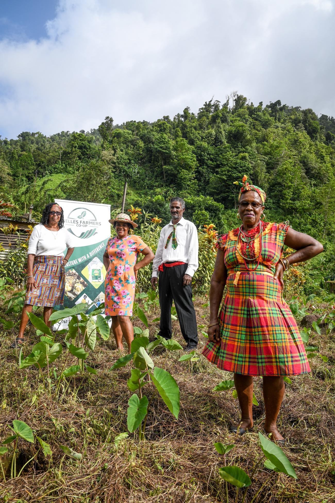 Dominica Farmers And Fisherfolk Gain Skills For Socio-economic ...