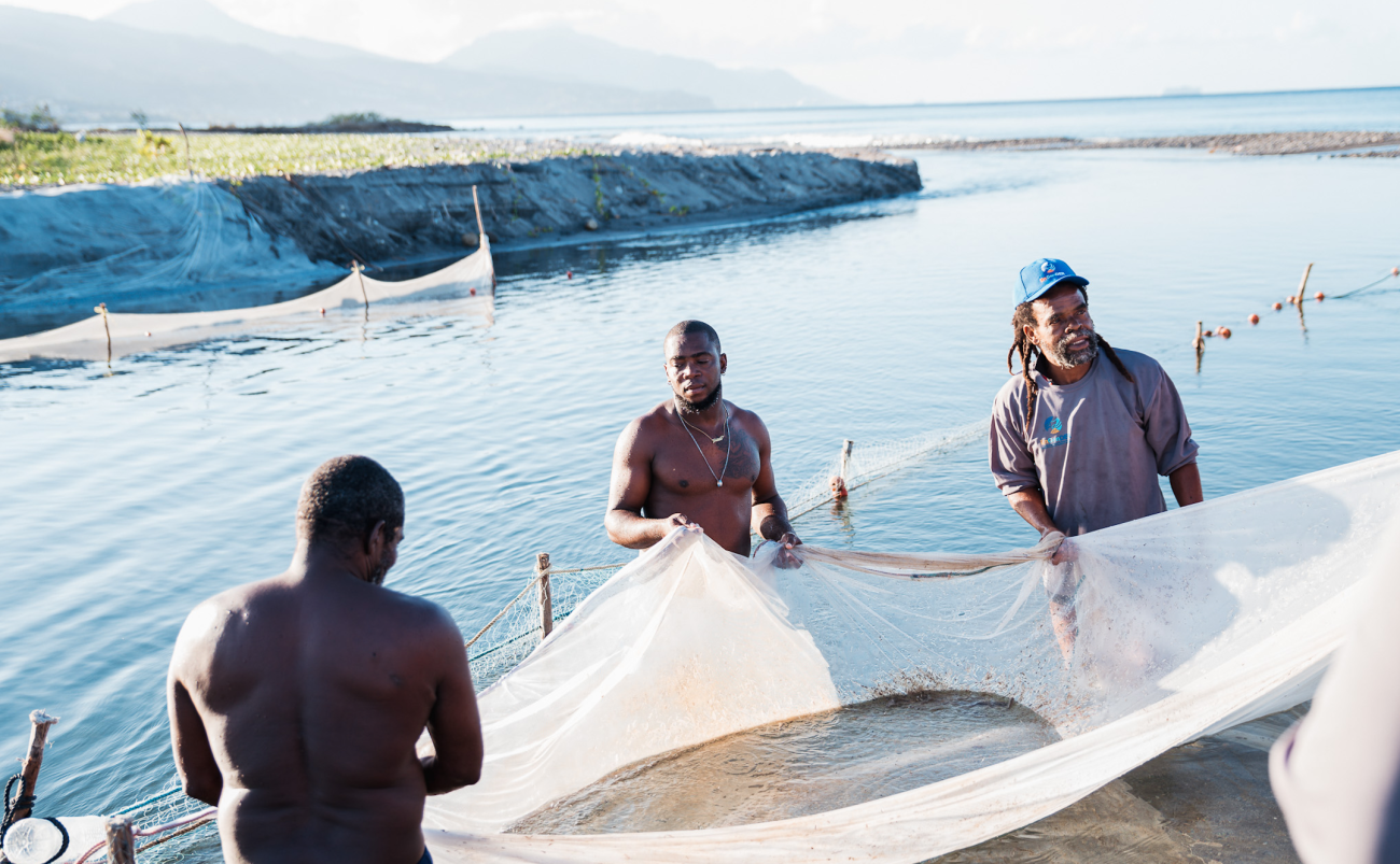 three fishermen hold a fishing net with a large body of water in the background