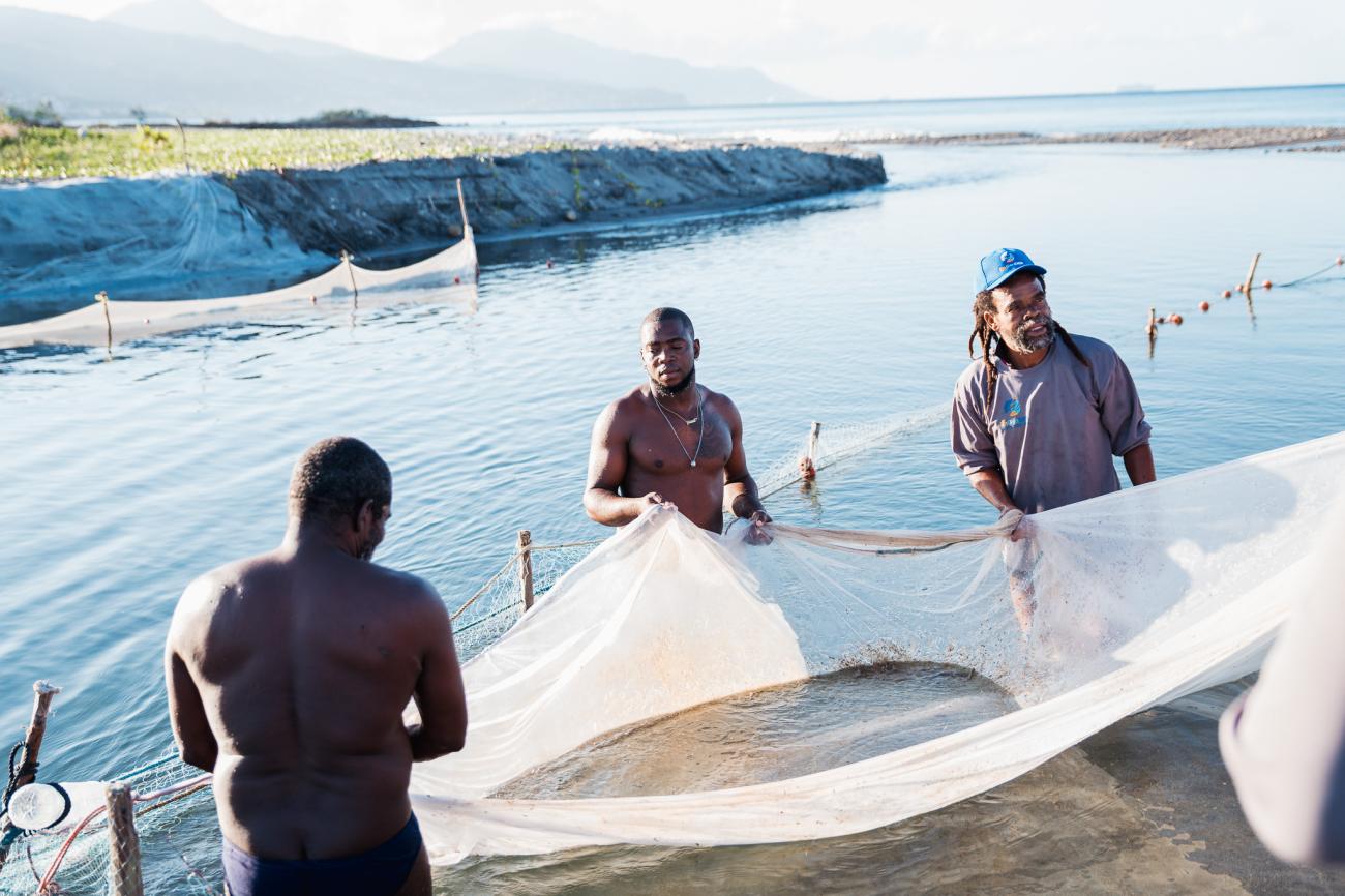 three men stand at the corners of a fishing net in a large body of water in St. Vincent 