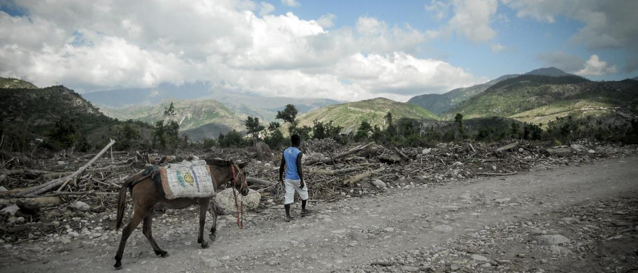 a man and his donkey walk across a desertified landscape