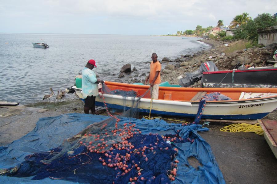 Fishers in Dominica