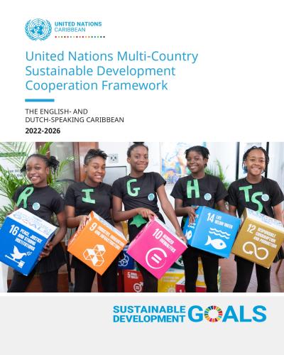 MSDCF Report cover featuring the MSDCF title, and a photo of 5 young girls in black shirts in a row holding various SDG blocks.