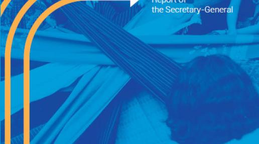 Report of the Secretary-General on Our Common Agenda