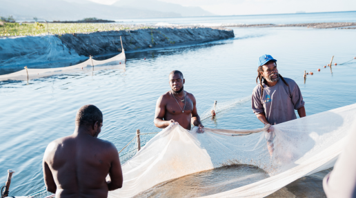 three fishermen hold a fishing net with a large body of water in the background