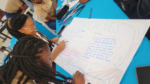 two girls use colourful markers to design a chart on Mangroves