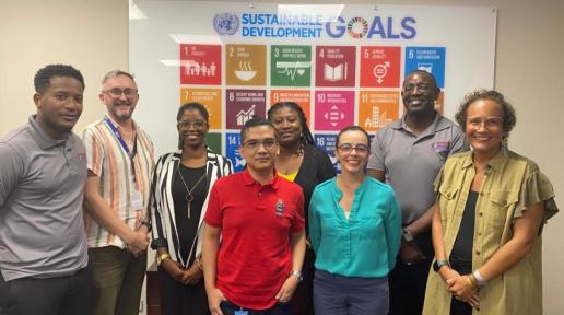 A group of people stand together for a photo in front of a poster of the SDGs. 