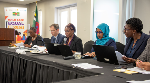 Participants sit at a table in front of laptops and microphones with a banner and Dominica flag in the distant background