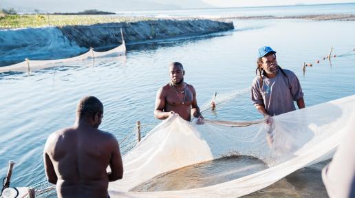 three men stand at the corners of a fishing net in a large body of water in St. Vincent 