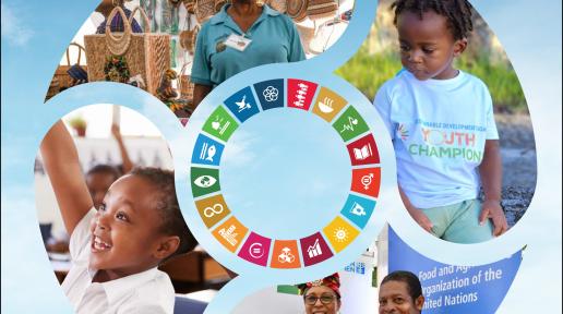 Report cover featuring a circular collage of smiling people of the Caribbean, with an SDG wheel in the middle