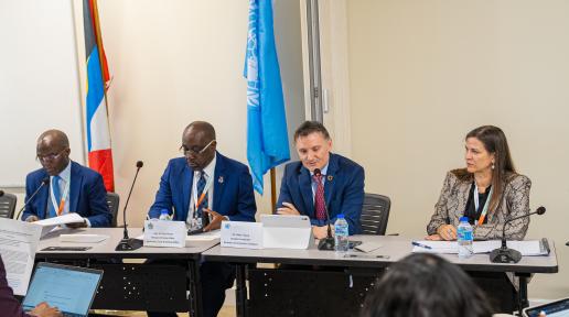 Head Table for UN Barbados Side-Event at SIDS 4 