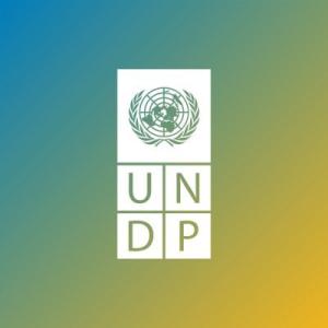 UNDP Climate Promise Logo 